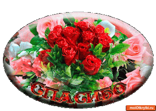 Foiz__Foiz__4345431aa37e1303e446779844ca63a1