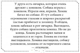 4-194-768x512