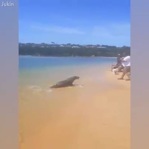 Немного_юмора