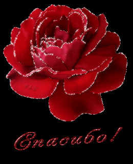 Роза спасибо