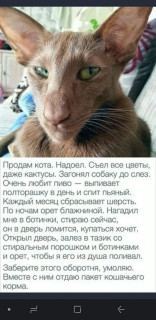 FB_IMG_1580576903086