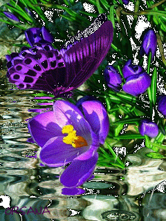 0da5da6b5926ae300284e6423b2ad1c7-4