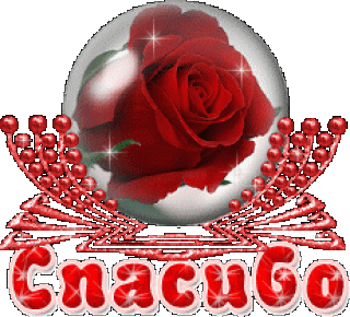 Foiz__124340713_cpas__roza