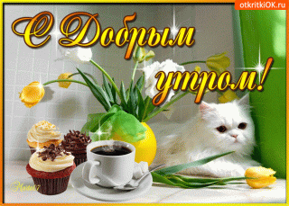 Доброе утро