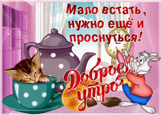 Доброе утро