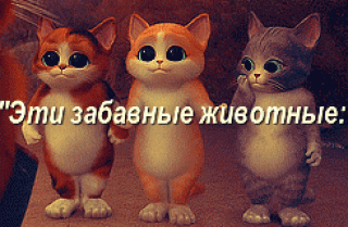 bloggif_5e3957357669a