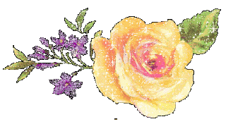 ed0aa069402a042c64e472dfd98ae00f