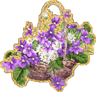 835d6f48adc156bd2555f36ca51df24c