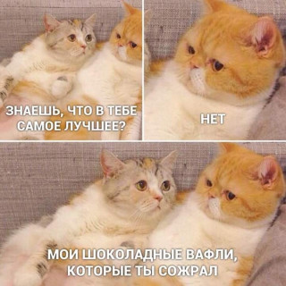 FB_IMG_1581109394380