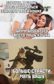 FB_IMG_1581035230191