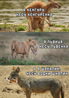 FB_IMG_1580850117924
