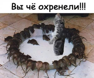 FB_IMG_1580479979568