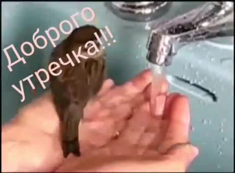 video-8638fd4e0a4dd7e8aa6e399eea40f7a5-V