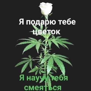 FB_IMG_1581261380883