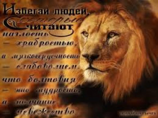 Без_названия_1