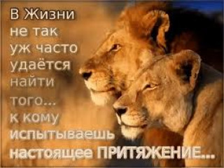 Без_названия