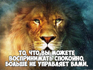 Скачать-цитаты-со-смыслом-красивые-мудрые-интересные-8