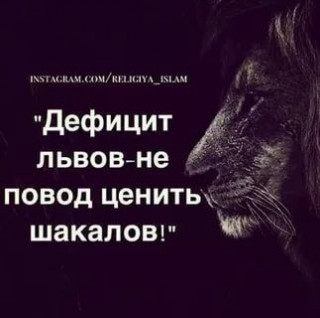4a8368345b6277a690d1fd5aa5a1596d
