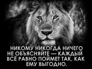 Без_названия2