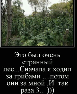 FB_IMG_1580467274752