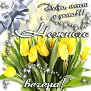 dobryy-vecher-