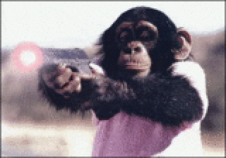 1250190215_86702_gif_280x210
