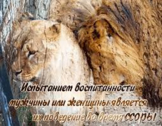 images_19