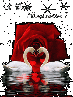 image_860602170503574950962