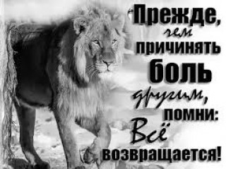 images_29