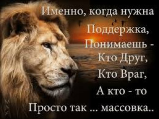 images_27