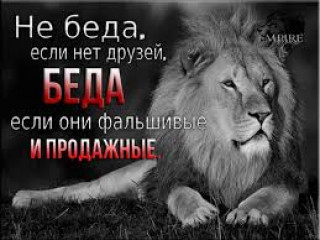 images_26