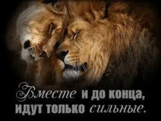 images_24