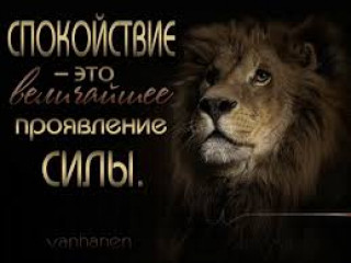 Без_названия_2