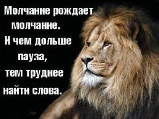 Без_названия_1