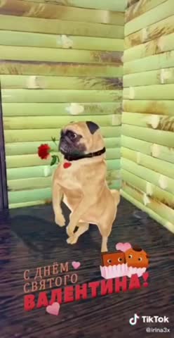 video-ee81bc4d2e274feb88e8d93224951620-V