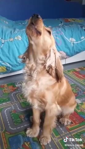 video-9e19a89bdb58045f6b79c40fe86c72ec-V