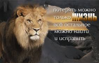 images_22