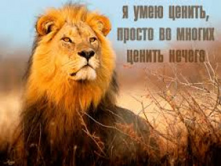 images_21