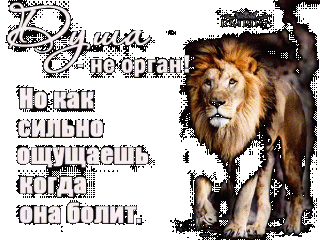 1504f67c05bd97cf625966161922