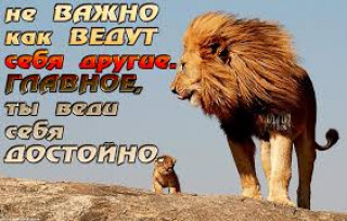images_18