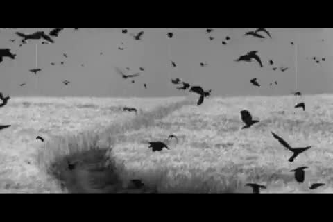 vidmo__Esazlesa_-_Nemy_Chlapec__2162331