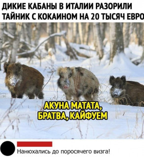 FB_IMG_1581924627662