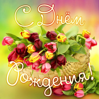 С днем рождения