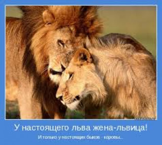 images_4