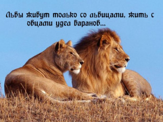 8bedc33b2163f8bd1d77d81eec75f6a5