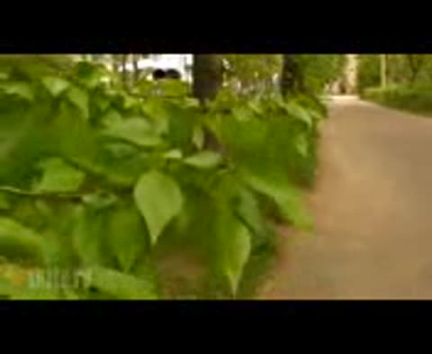 _YUrijj_SHatunov-Letnijj_liven_premera_2012__176