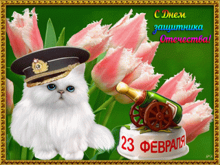 23_февраля