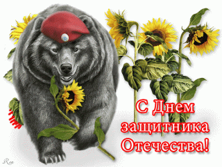 День_защитника_отечества__медведь