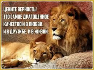 images_14