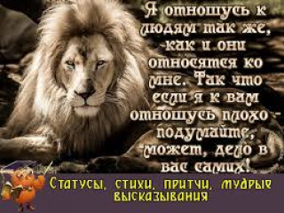 images_13